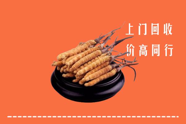 高价求购：娄底市涟源市回收散虫草