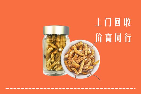 娄底市涟源市回收冬虫夏草